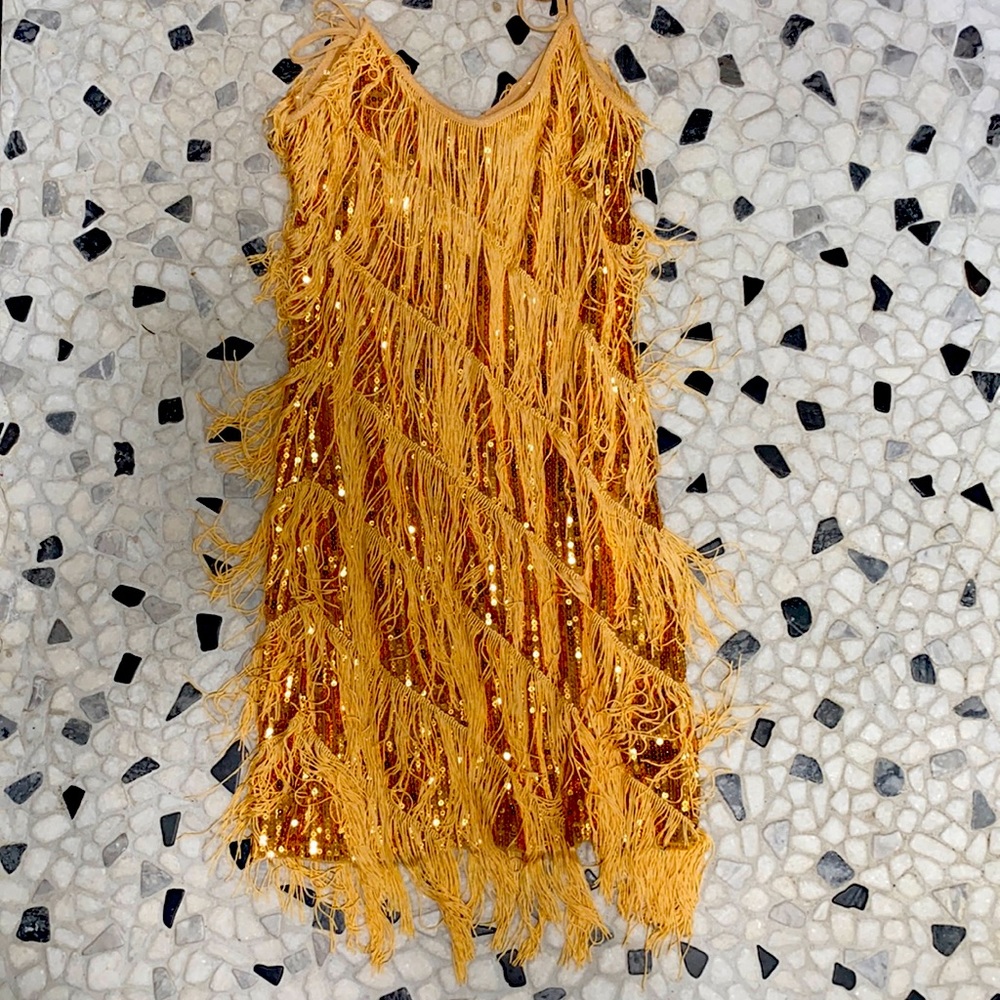 20s flapper dress